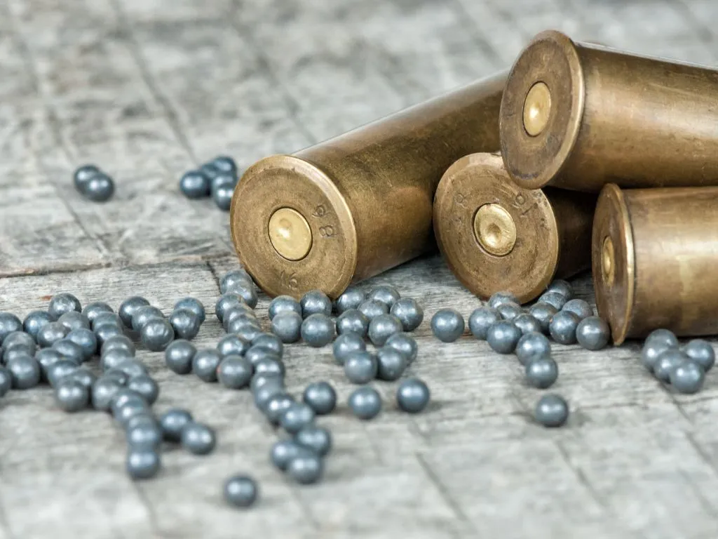 UK Introduces REACH Restriction on Lead in Ammunition Image